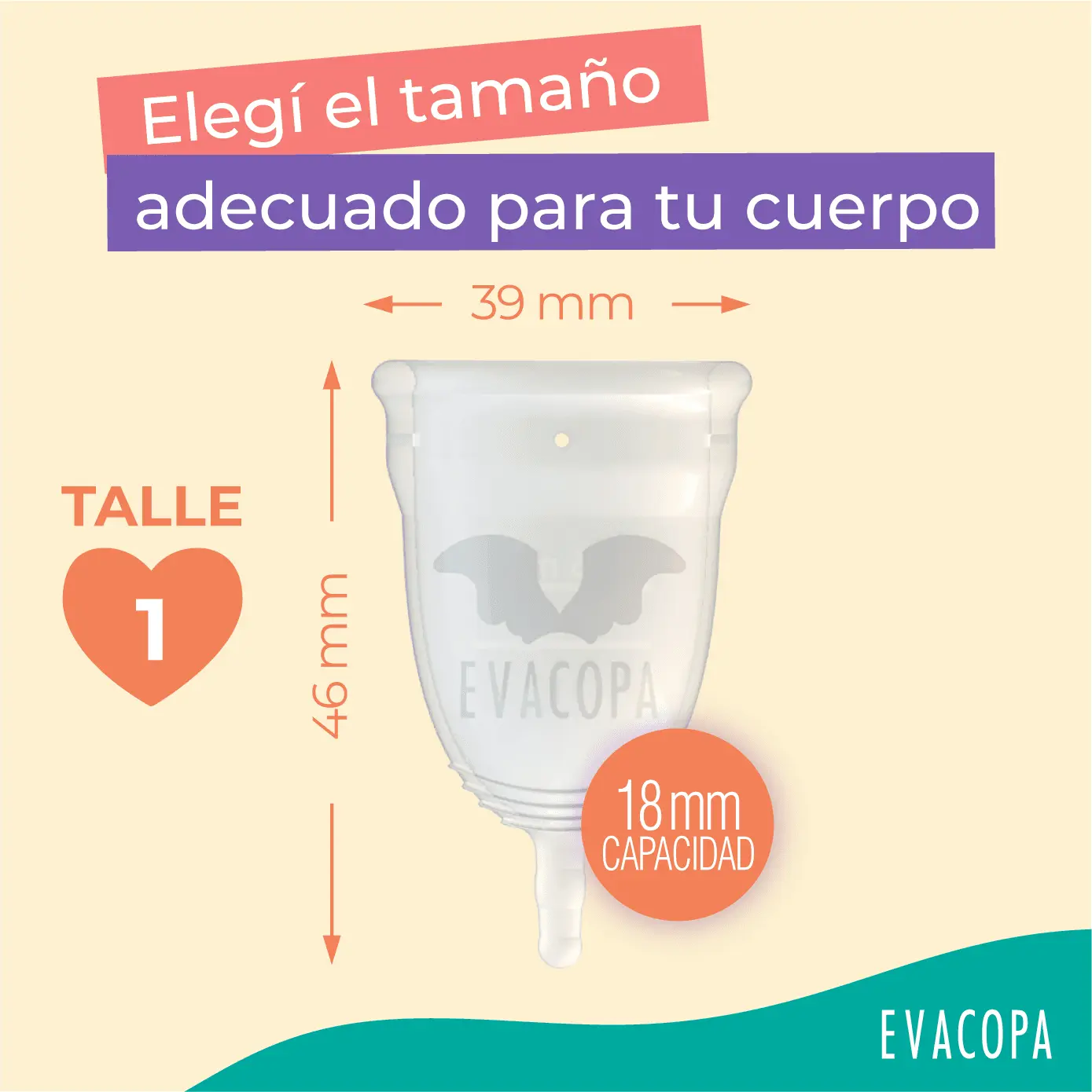 Evacopa menstrual - Image 4